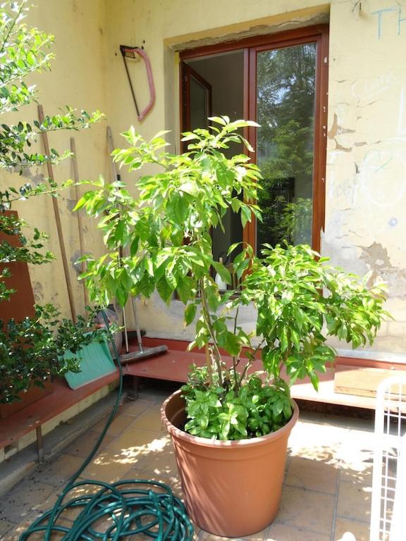 Appartement Garden On Art Nouveau Street In Prague